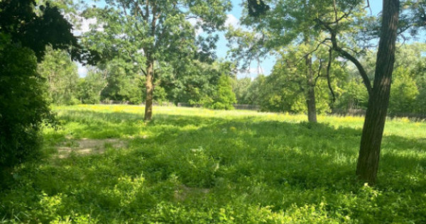 Teren extravilan, 10000 mp, Vicovu de Sus