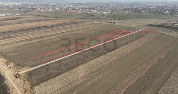 RECO Teren intravilan Cihei Sanmartin