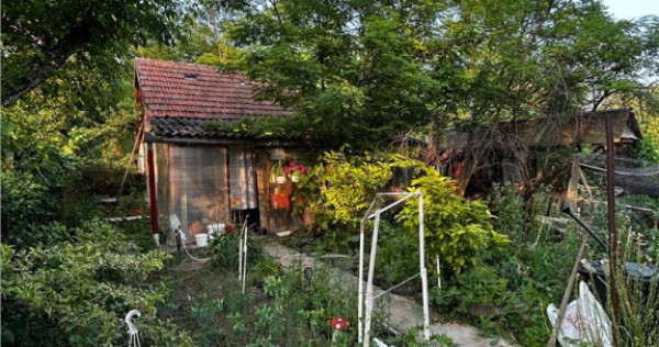 RECO Terenuri intravilane Teren Extravilan 8200 mp, Cartier