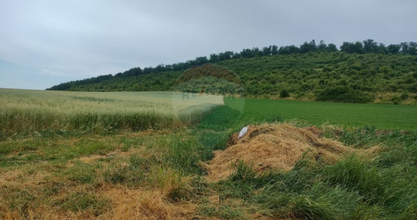 Teren extravilan 18200 mp Reghin