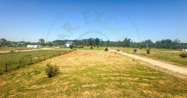 Teren 1116 mp gulia Eden Forest