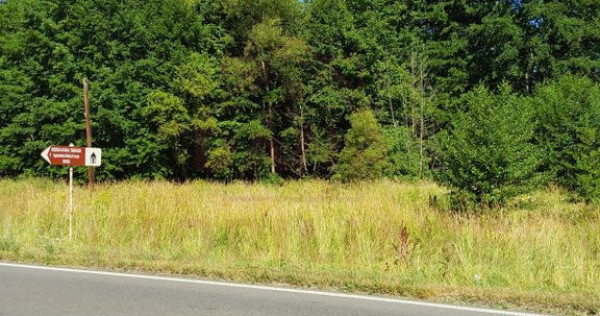 TEREN INTRAVILAN ÎN MARGA-LA DN68 JUD.CARAȘ-SEVERIN