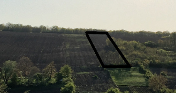 Proprietar Aroneanu Rediu Aldei teren 10500mp