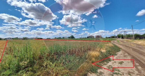 Teren Focsanei / DN sat Focsanei Vadu Pasii