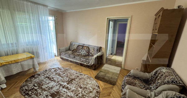 Apartament modest 2 camere, aer conditionat, Brazda lui Nova