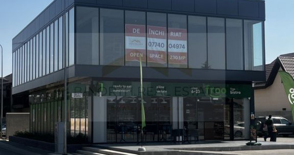 SPATIU COMERCIAL 230 mp