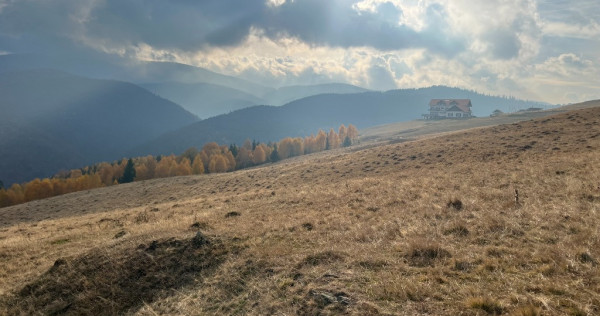 Teren de vânzare –ideal pentru cabană – Zona Vălari, Păltiniș(6131 m)