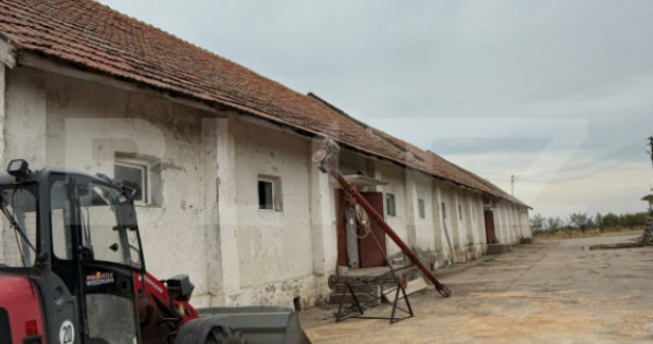 Ferma de Vanzare in judetul Timis, la nord est de Timisoara,