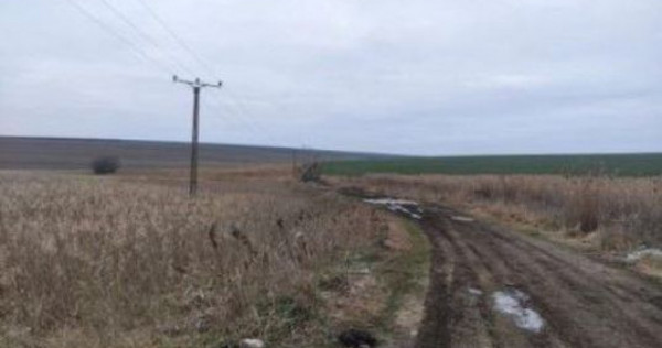 Teren extravilan cota parte 1/3, Rediu, ID: R2642185