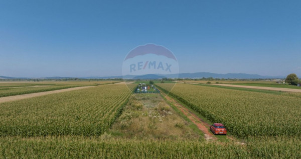 Teren de 1100 mp de v&acirc;nzare &icirc;n Stupini