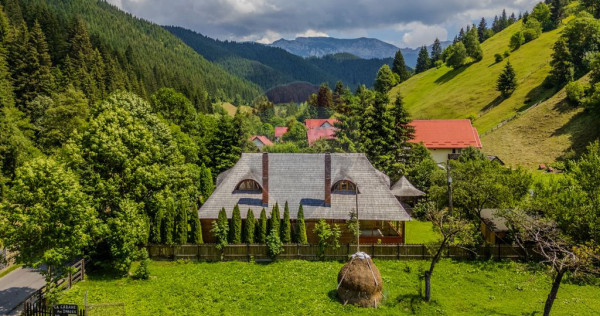 CASA CARAMITRU | POVESTE VIE SI ISTORIE CULTURALA | MOIEC...
