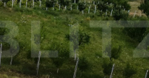 Teren intravilan &ndash; 730 mp &ndash; Zonă panoramică Aleea Trif