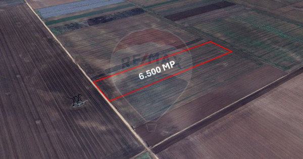 Teren extravilan de vânzare – 6.500 mp, Hărman, Brașov