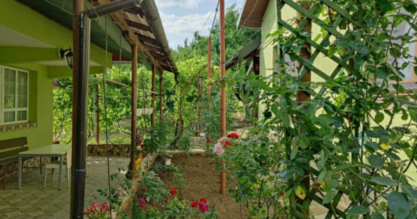 Proprietate cu 2 corpuri de locuinta, Baicoi