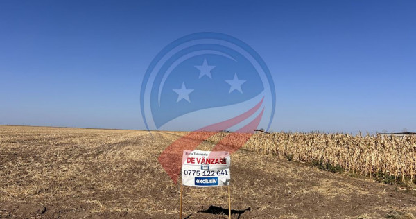 Teren intravilan de vanzare in Pielesti