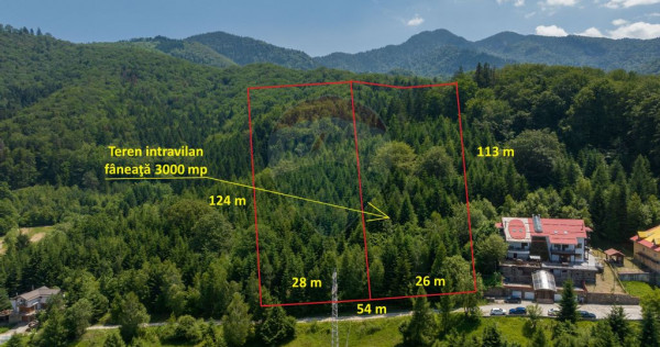 Teren intravilan, 3000 mp, Dâmbu Morii