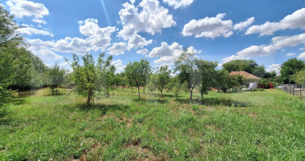 Casa cu teren intravilan, 4600 mp, investiitii/dezvoltare!