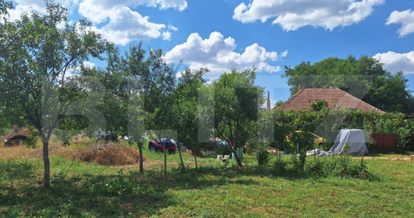 Casa cu teren intravilan, 4600 mp, investiitii/dezvoltare!