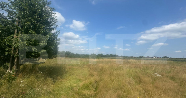 Teren intravilan, 5.041 mp, Horodnic de Jos