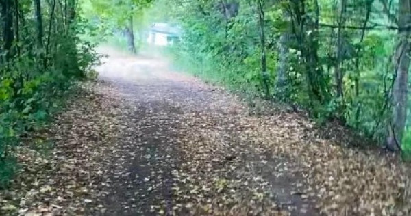 Teren de vanzare zona de munte