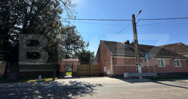 Casa saseasca de vanzare, curte, gradina, teren 3000 mp - Ji