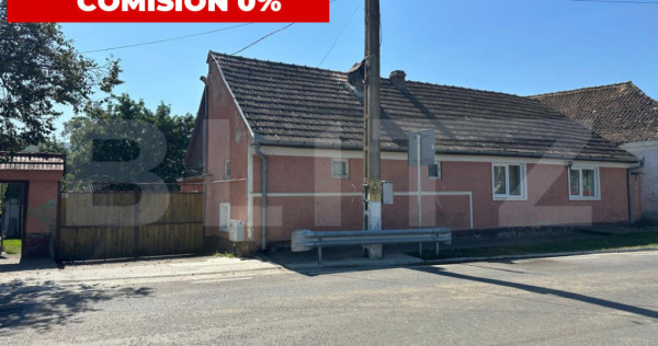 Casa saseasca de vanzare, curte, gradina, teren 3000 mp - Ji