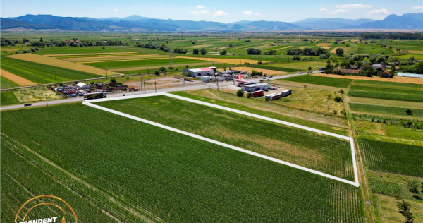 8.400mp, la DN12, cu Certificat Urbanism, teren intravilan,