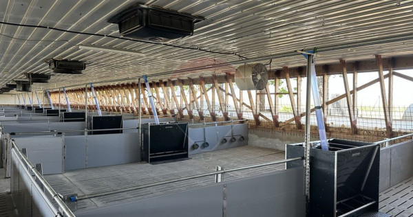 Ferma porcine la cheie