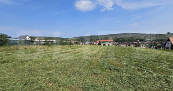 Terenul perfect! 1705 mp, pentru un duplex si o casa individ