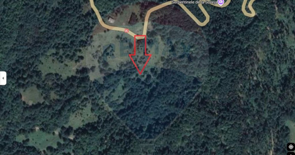 Teren Lepsa Soveja DN2 L