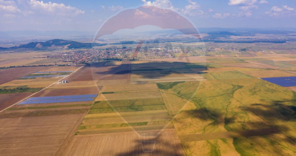 Teren Harman 29200mp pretabil dezvoltare industriala