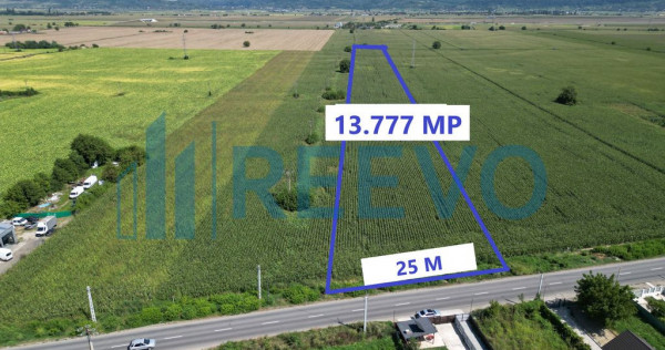 Teren de vânzare, Letea Veche, Jud. Bacău