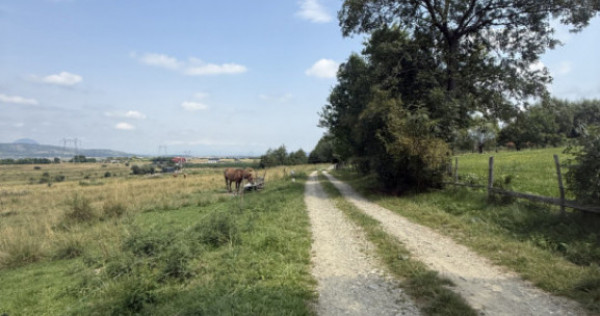 Teren intravilan 500 mp - Tohanul Nou