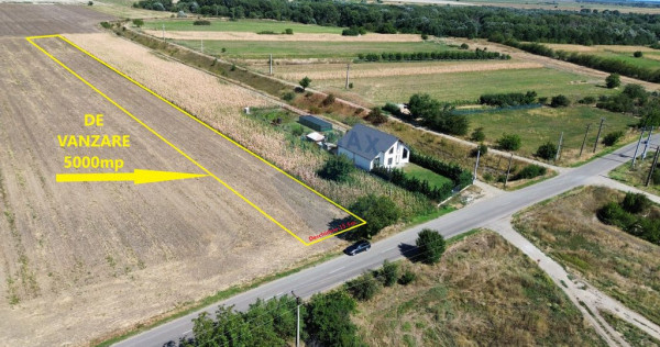 Teren 5,000mp Vanatori