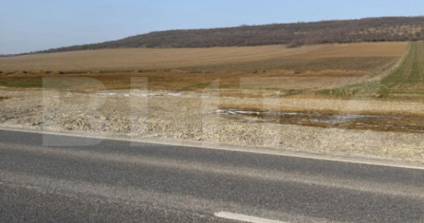 Teren intravilan, 3200 mp la DN 85, la ieșirea din Suceava