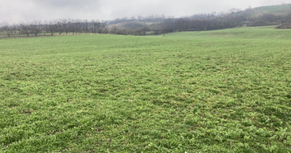 Miroslava! Teren agricol 6435, la 2 min de Primarie!