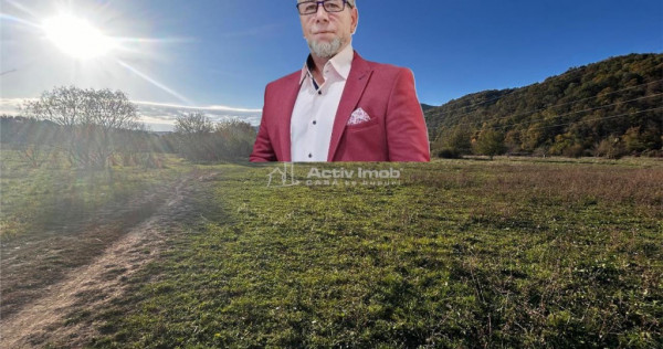 Bocsa Teren Intravilan 2754 Mp.