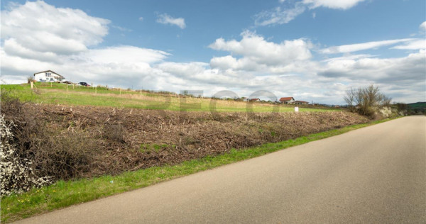 Teren intravilan Cetariu