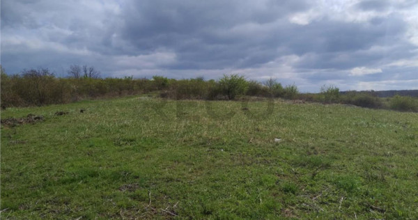 RECO Teren intravilan, Paleu