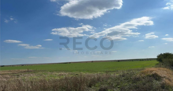 RECO Oportunitate teren 25000mp Santandrei