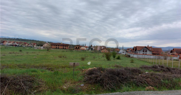 RECO Teren 4935mp in Beius