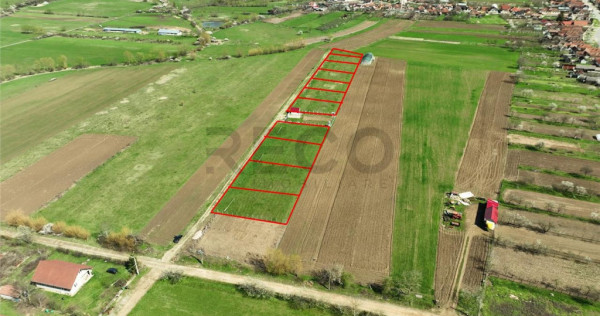 ReCO, teren intravilan, Ineu,Bihor