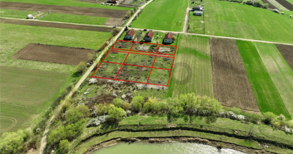 RECO , teren intravilan, Ineu,Bihor