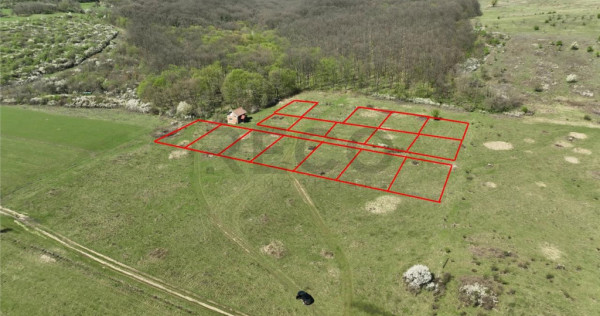 RECO, teren intravilan, Ineu,Bihor