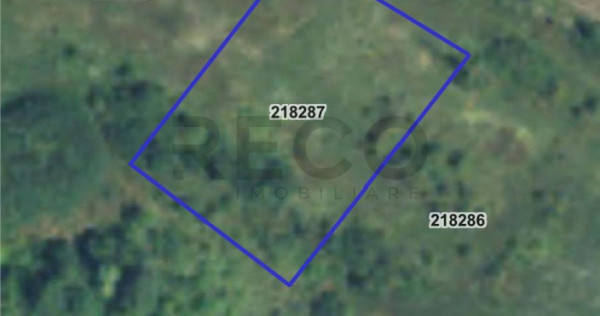 RECO teren intravilan in zona industriala