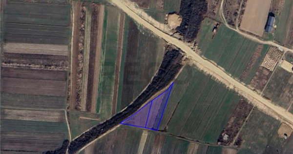 RECO Teren intravilan zona Cordau President