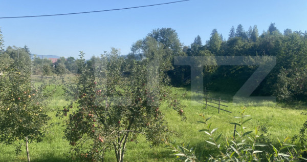 Teren in Doroteia, Plutonița, 3880 mp, intravilan