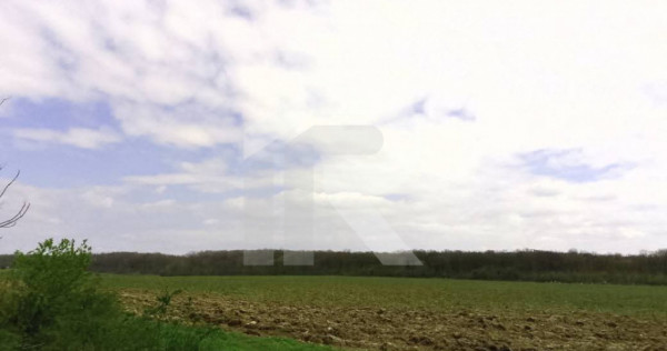 Com GRUIU_Reprezentare exclusiva_TEREN EXTRAVILAN LANGA PAD