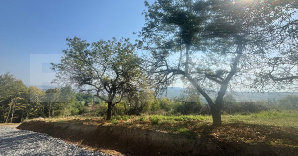 Teren de vanzare in Viisoara