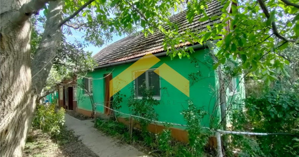 Casa de in Bodrogu Vechi